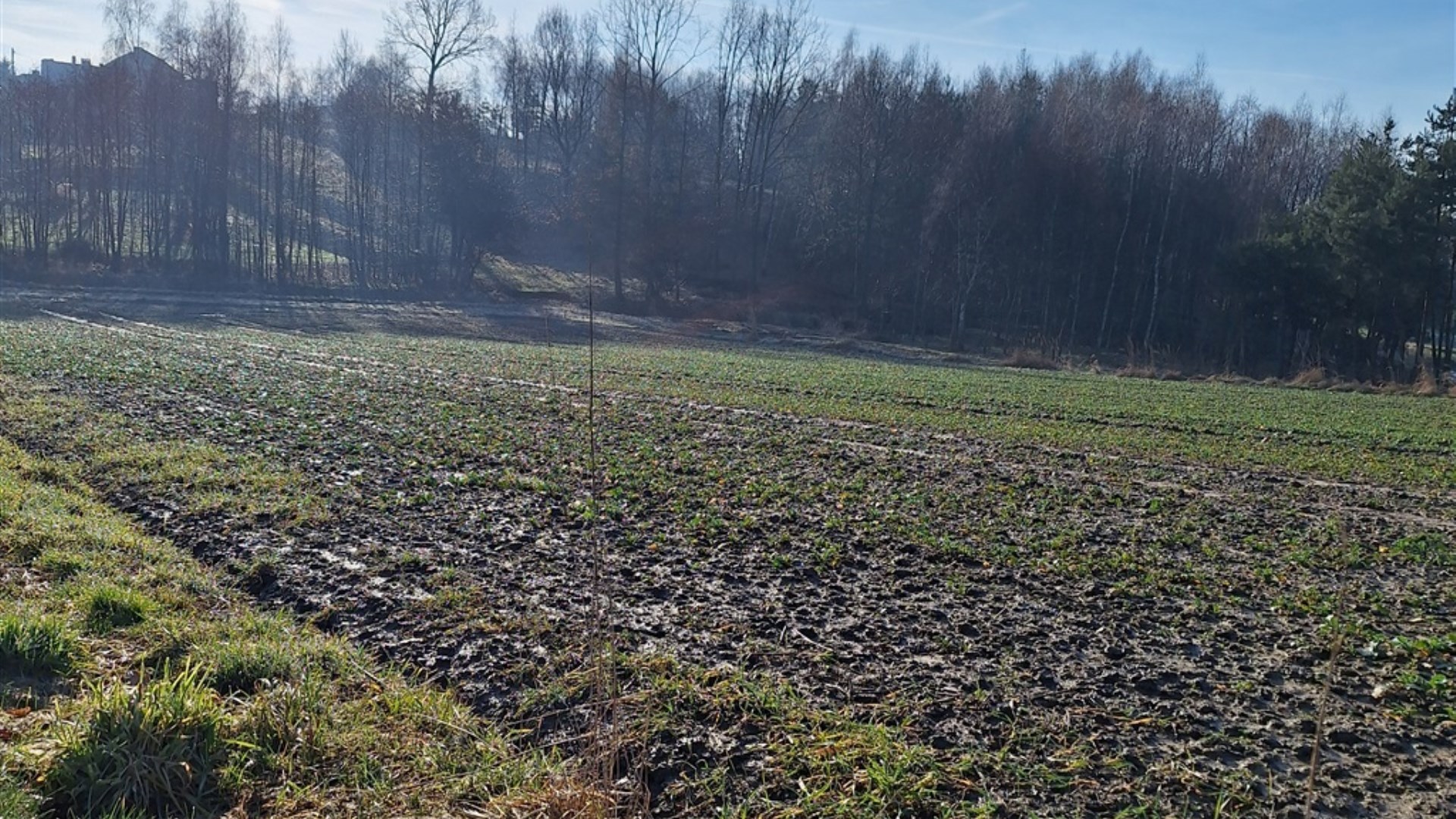 Działka na sprzedaż